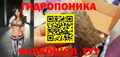 a pvp Гусев