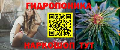 a pvp Гусев